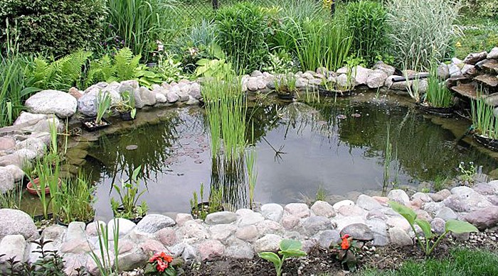 Creating Your Own Backyard Pond