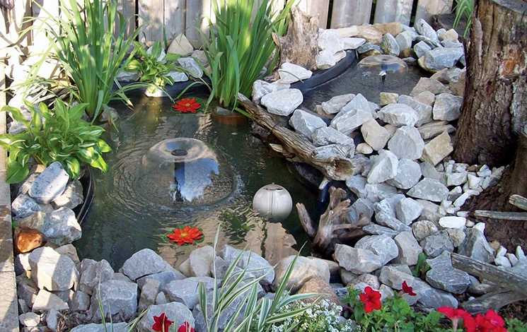 a choice from koi Pond Kits