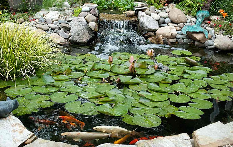 Assessing Pond Supply Needs – 6 steps