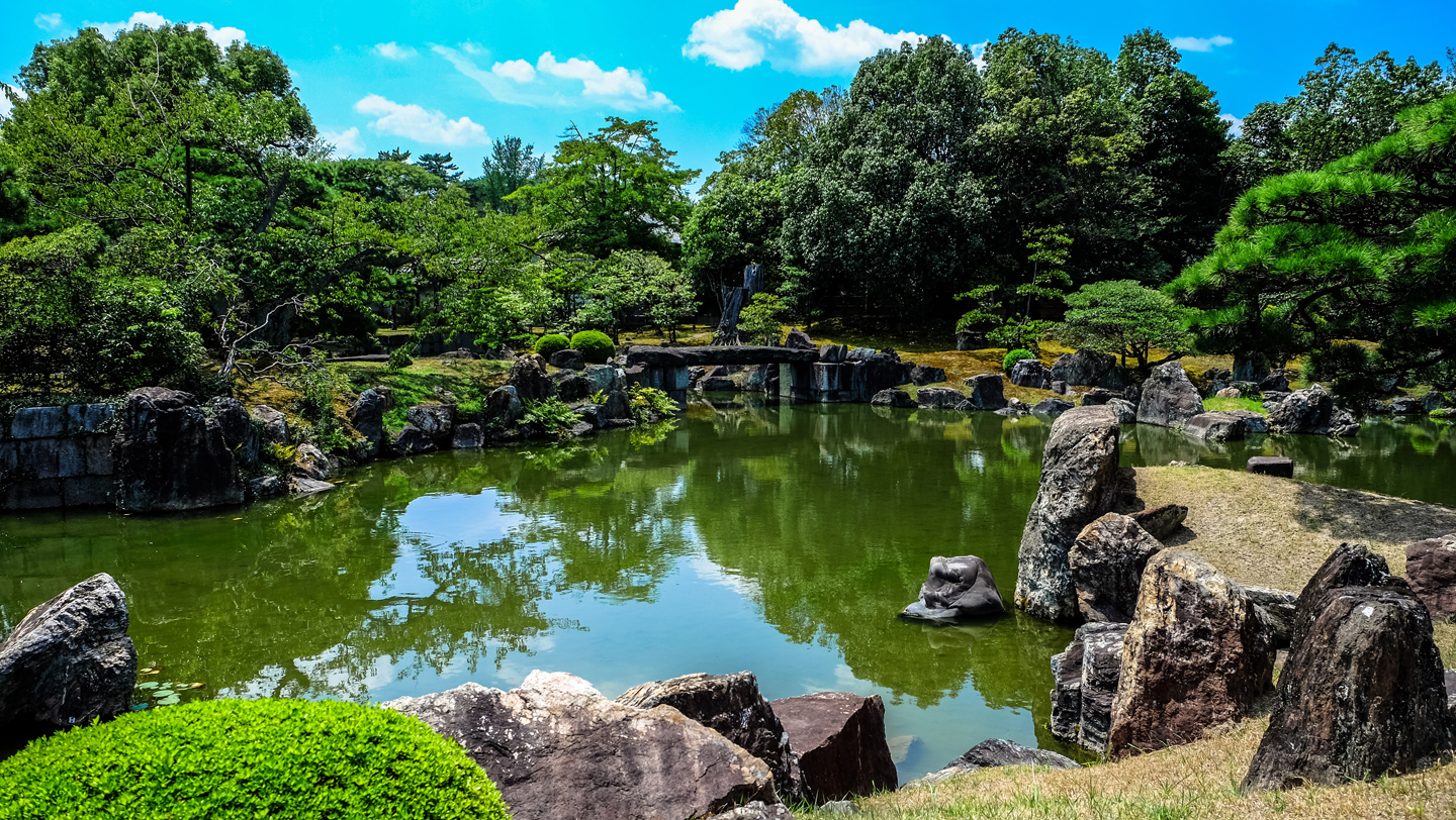 create a koi garden