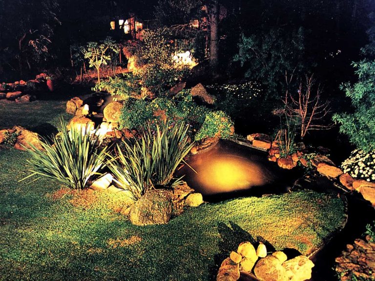 Choosing the Best Pond Lighting