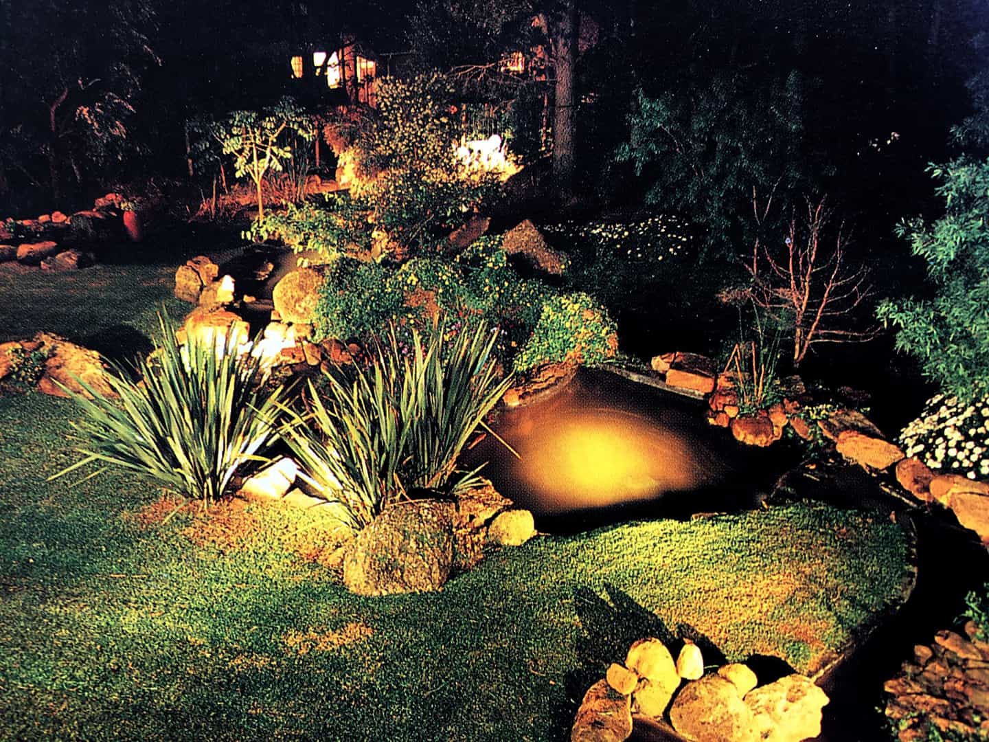 Best Pond Lighting for your pond