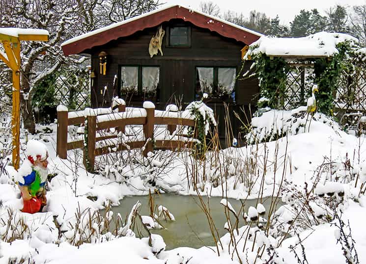 Winter care of koi in a frozen pond