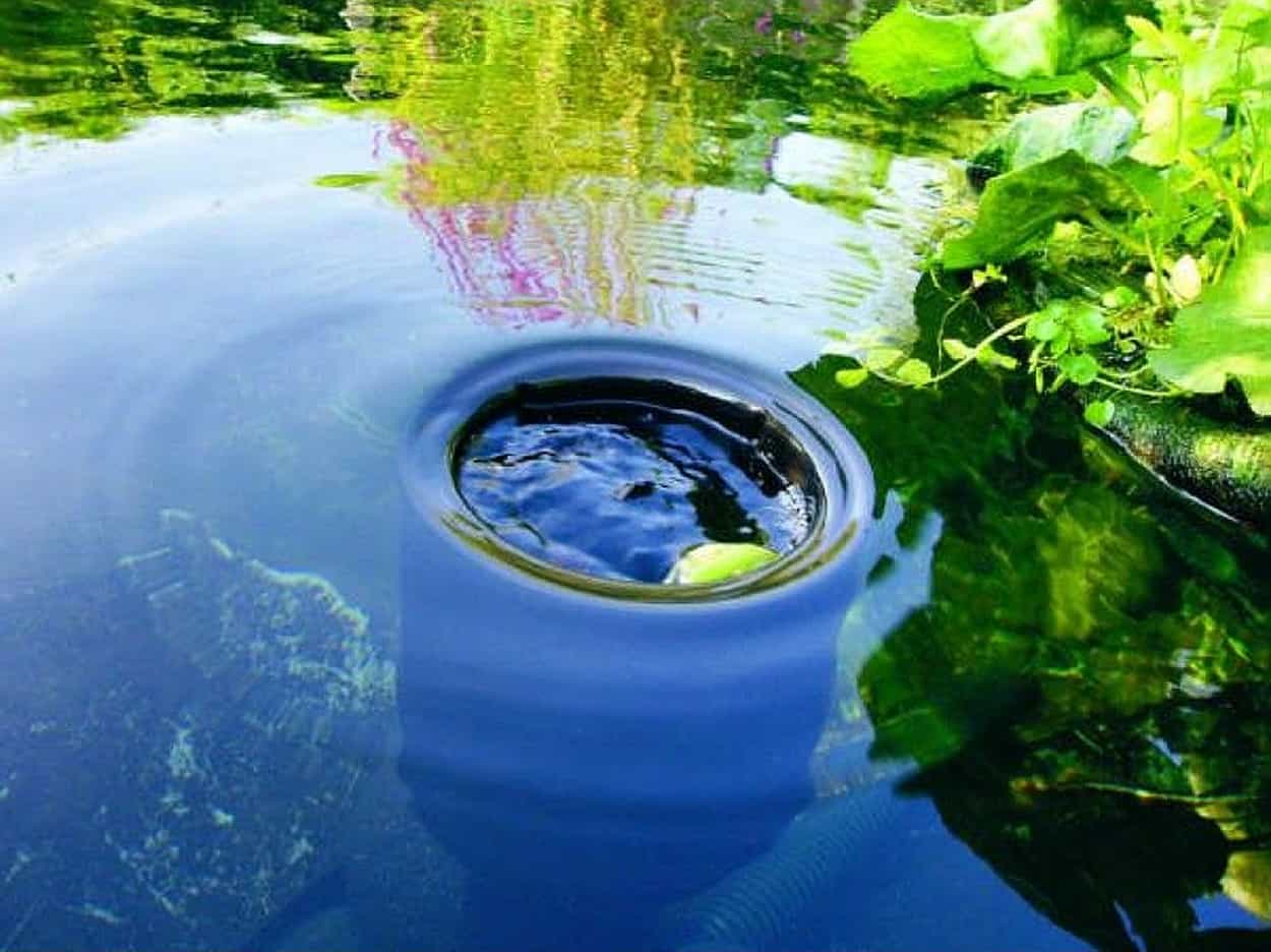 koi pond skimmer