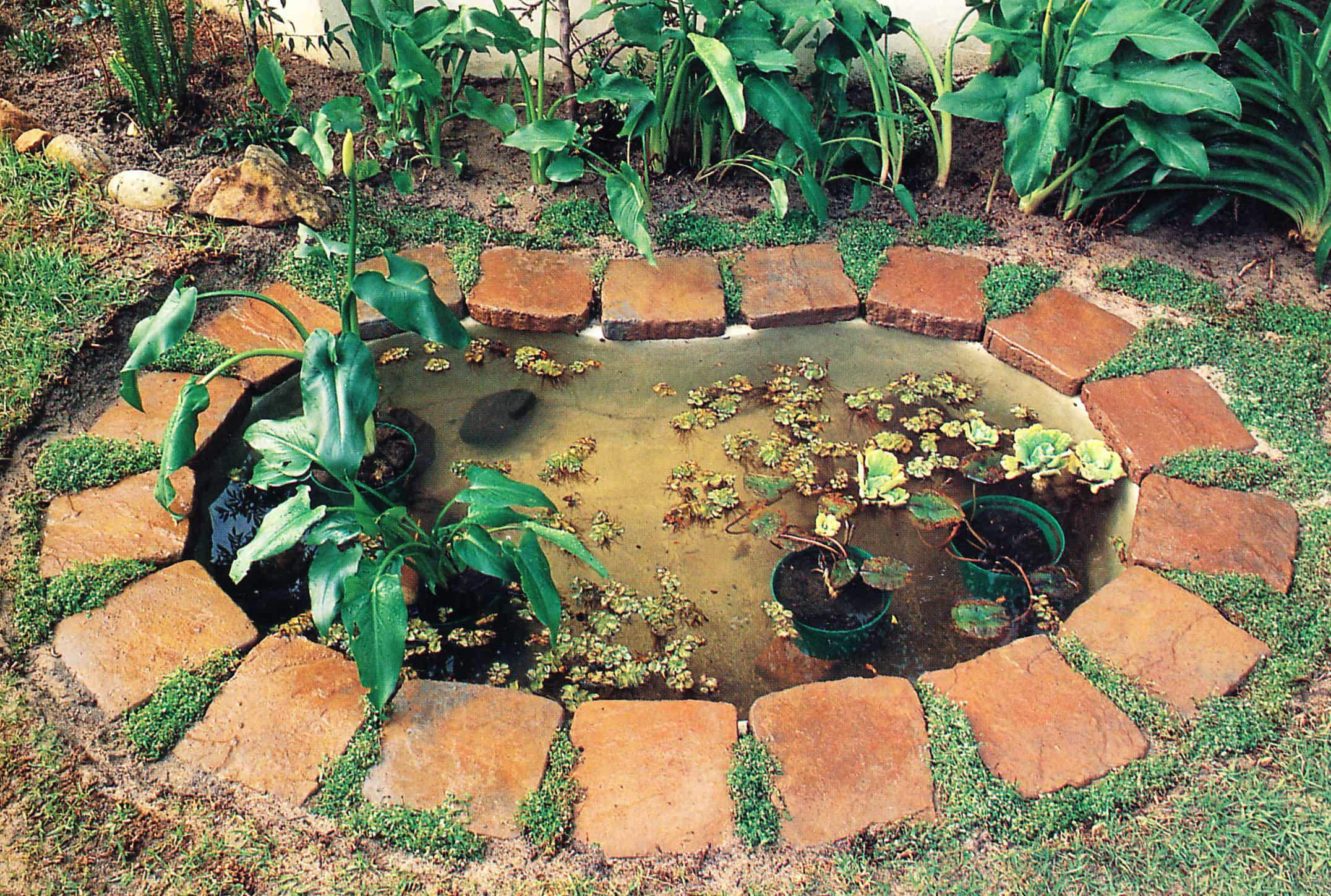 This is how to install a preformed pond