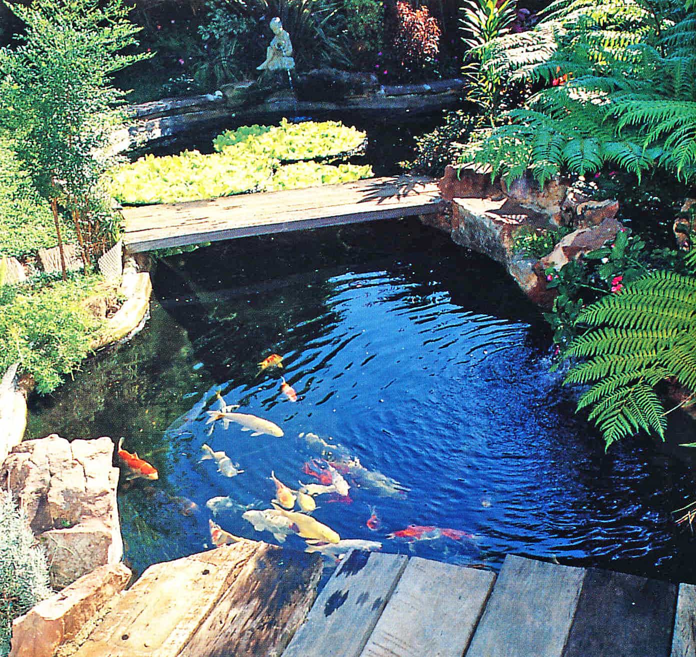 koi backyard ponds style