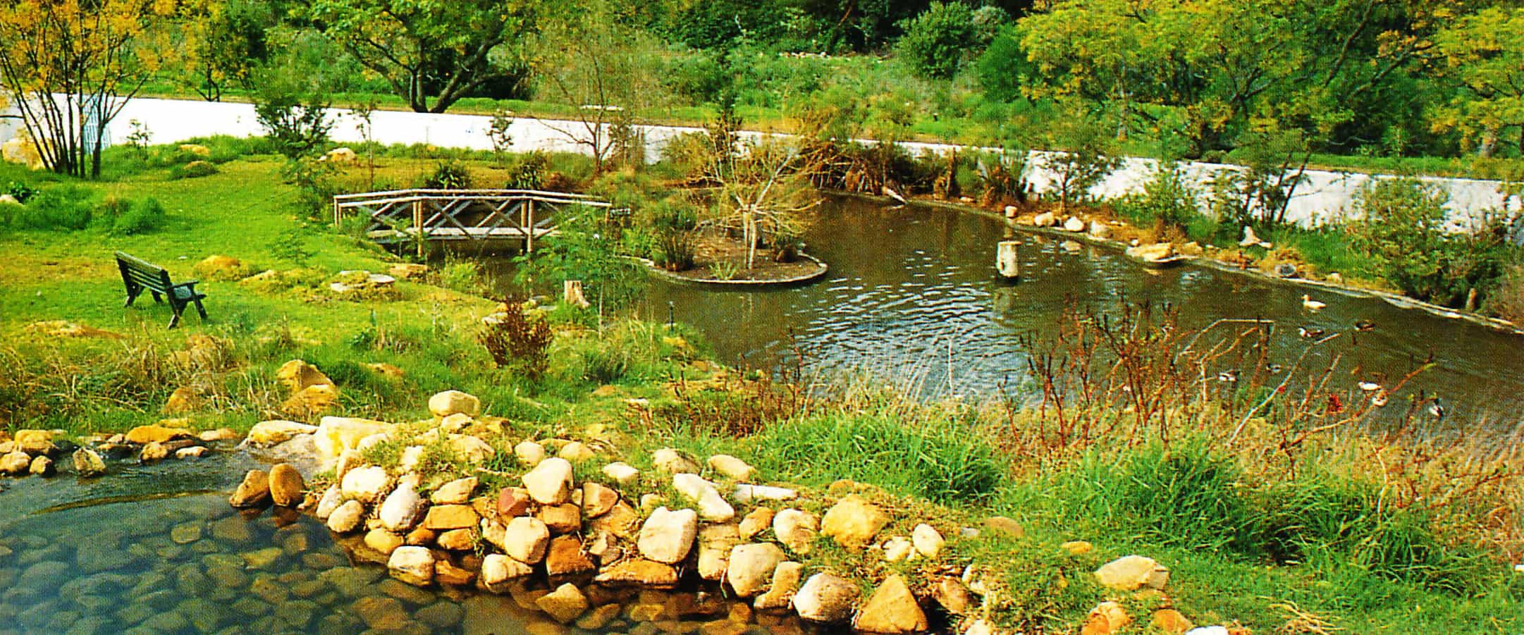 Informal Ponds - man-made duck pond