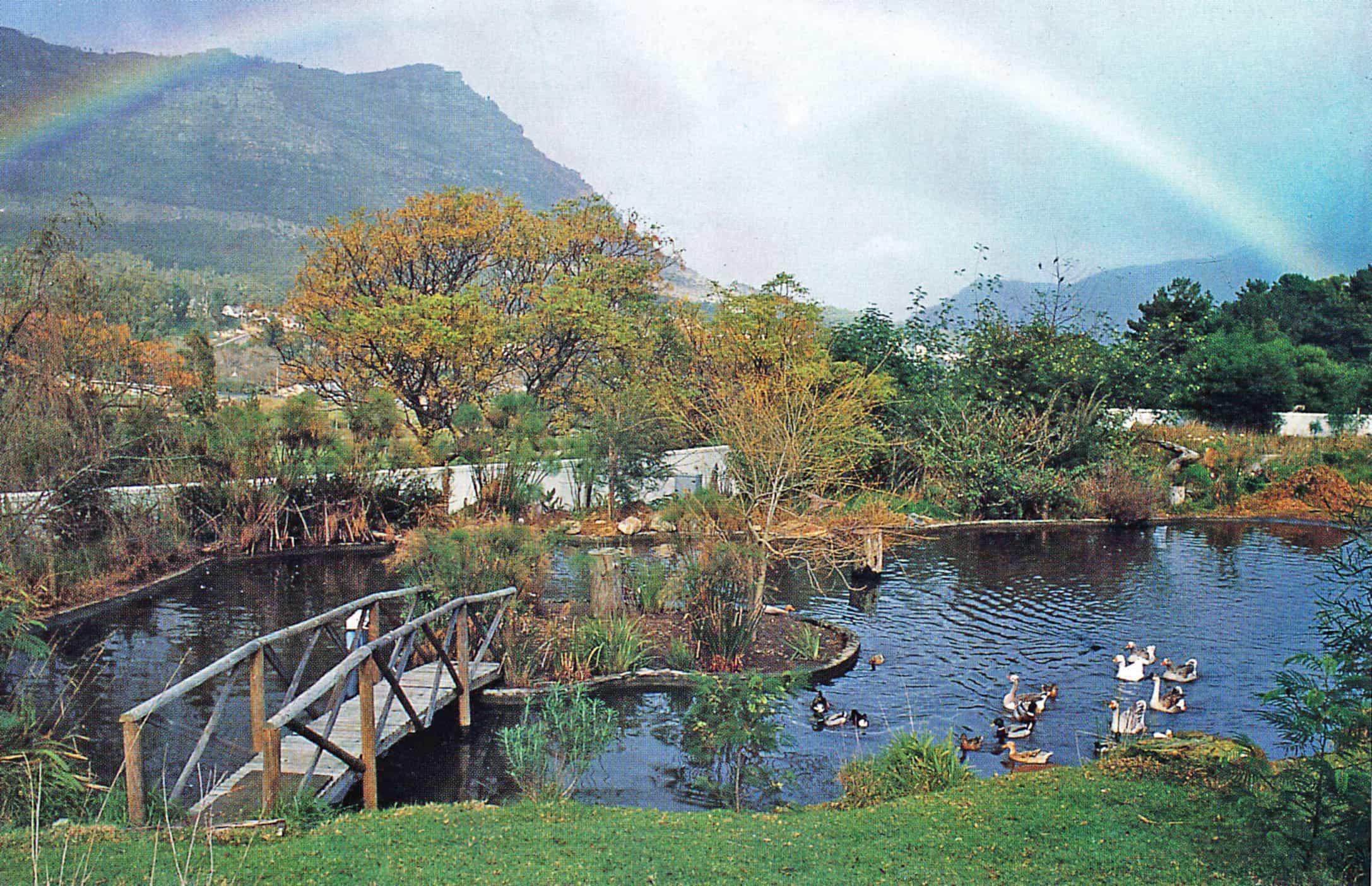 Large duck pond with island, bridge and rainbow