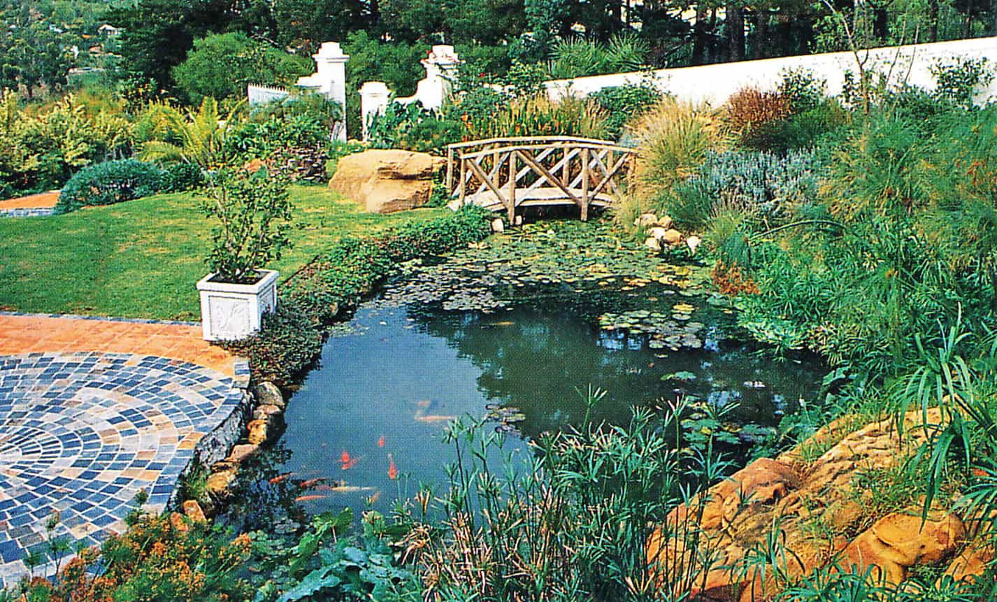 Koi pond, with bridge and pond lilies