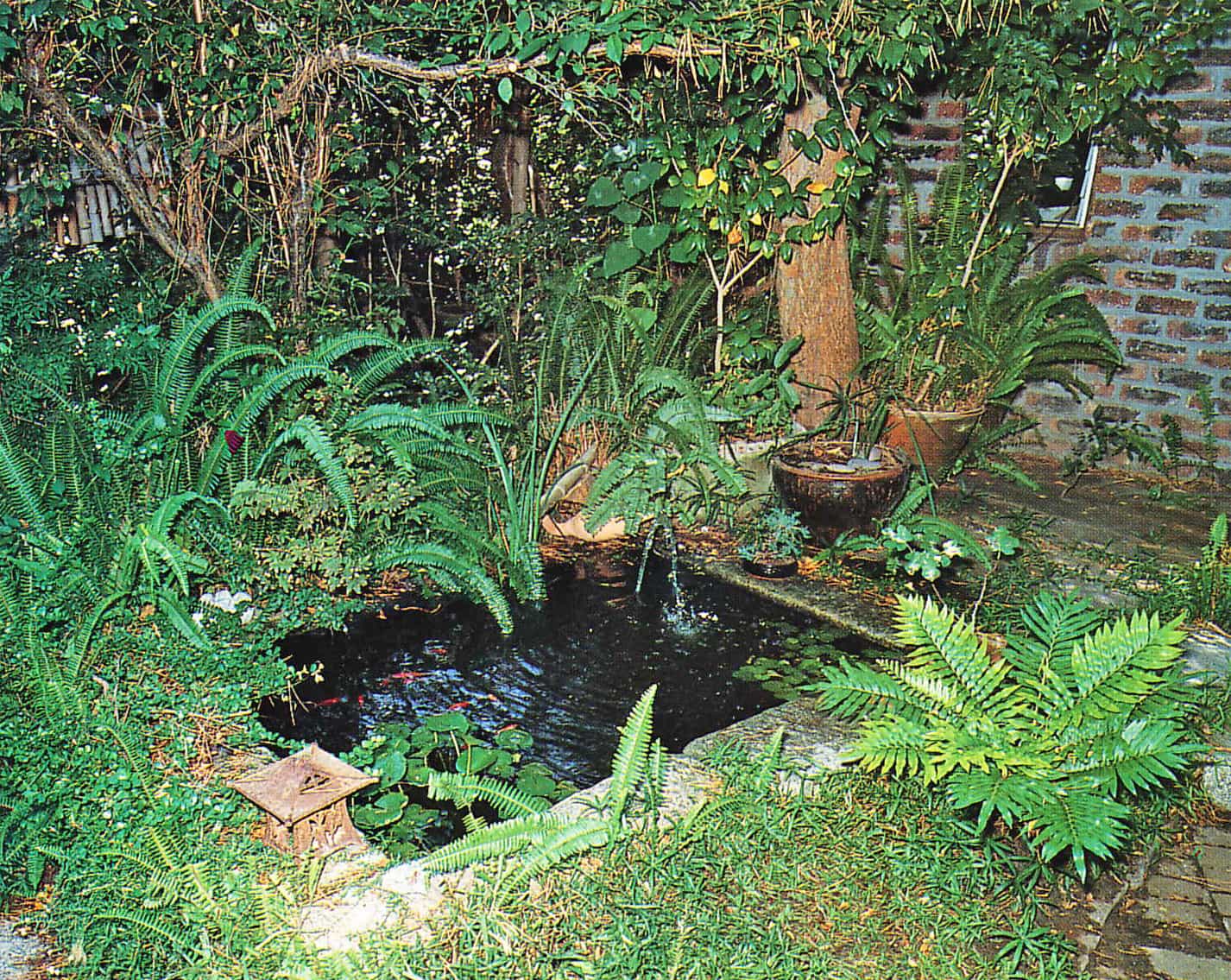 A simple fish-pond