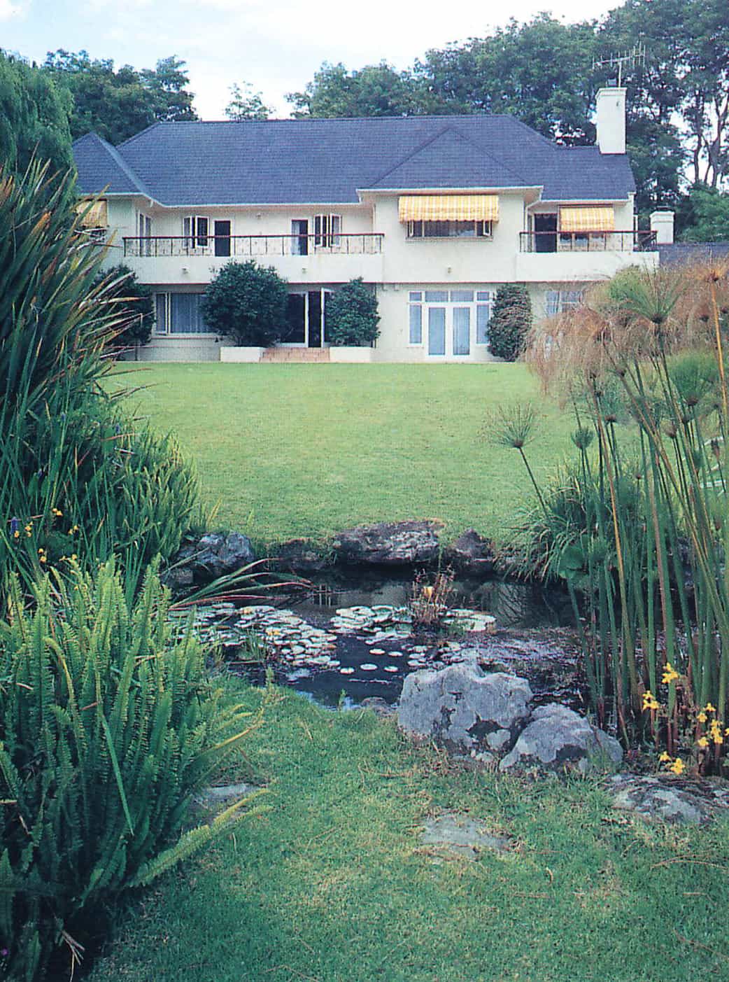 natural backyard pond