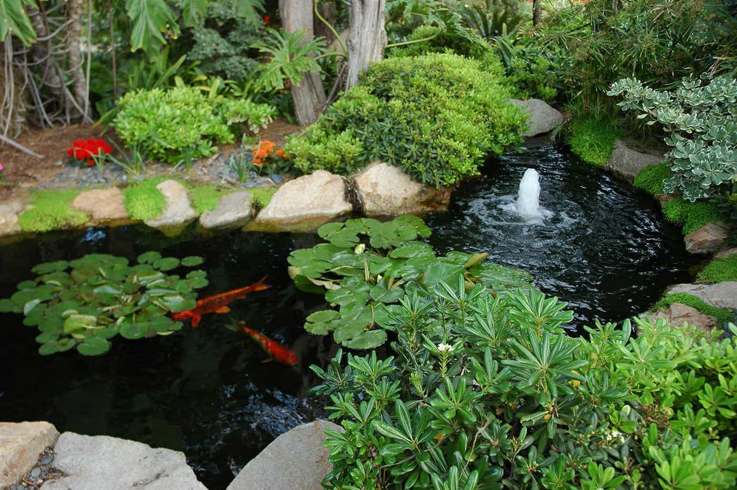 what is the cost of your pond