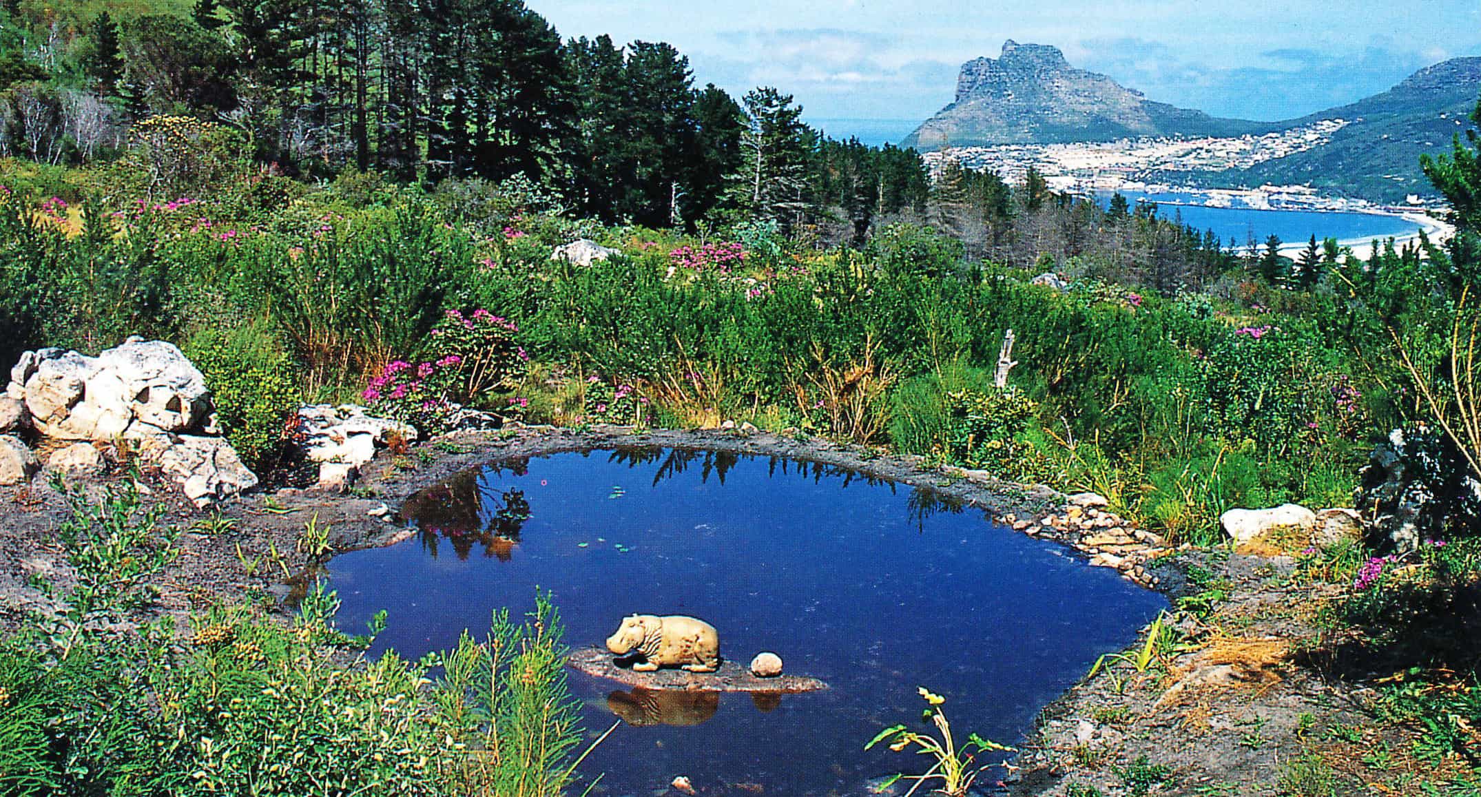 one of the natural water gardens nearby