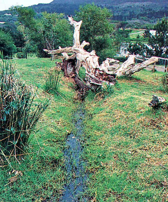 Simple bridge Crossing Stream