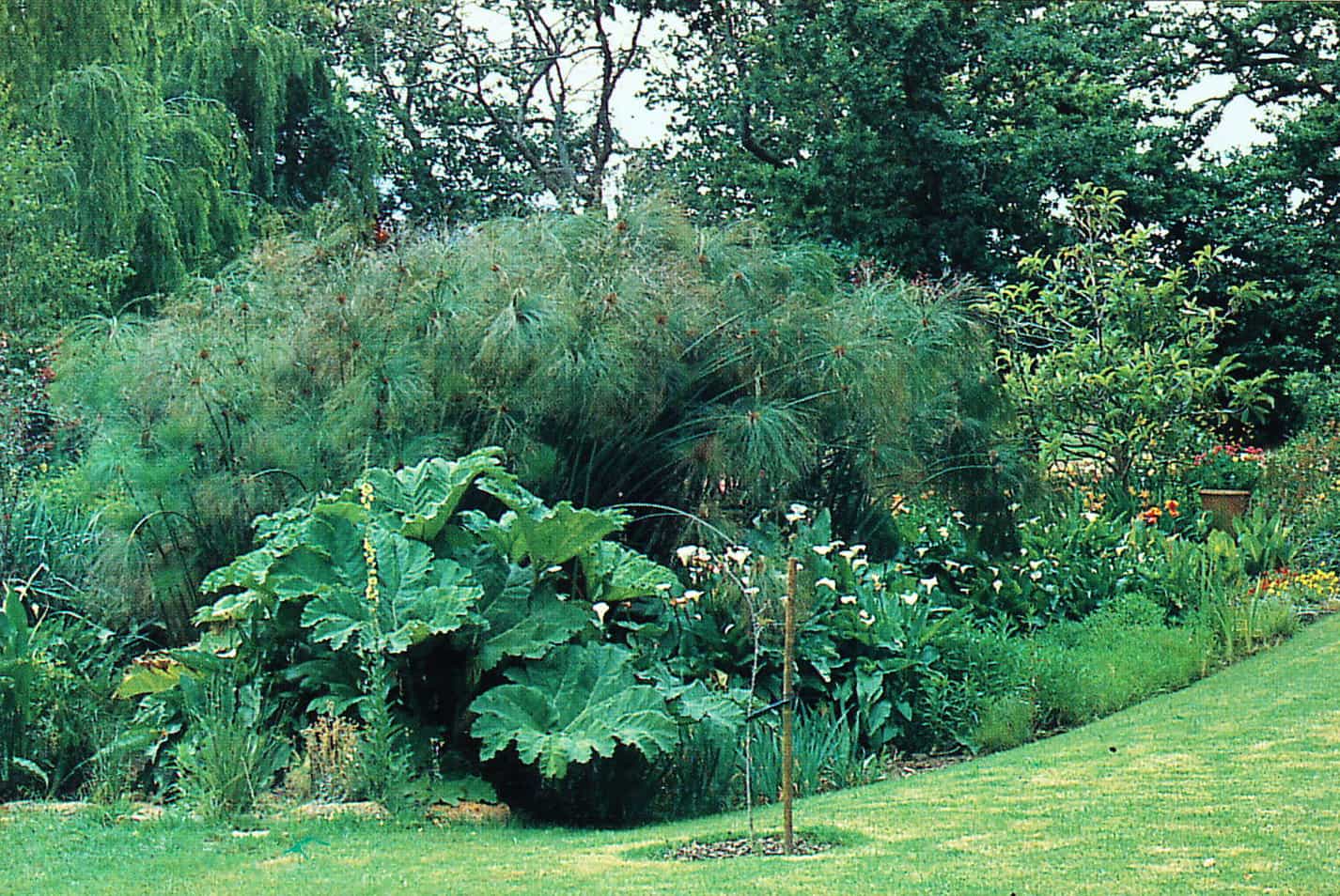 bog garden