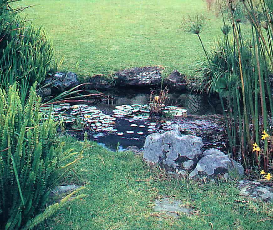 You can create this natural looking pond