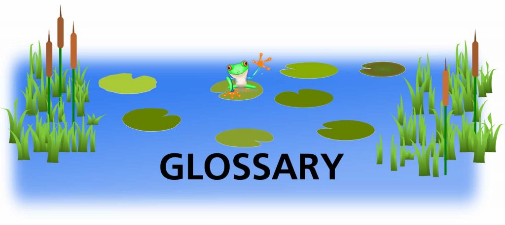 Glossary of terms used in step-by-step ponds