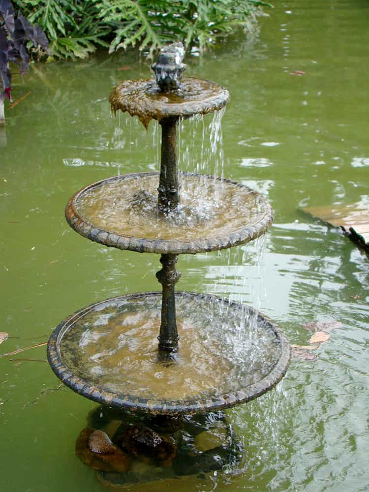 Three tier water fountain